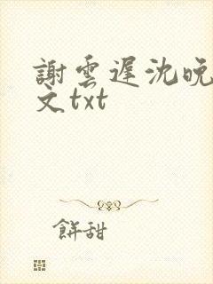 谢云迟沈晚梨全文txt