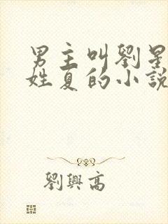 男主叫刘星女主姓夏的小说