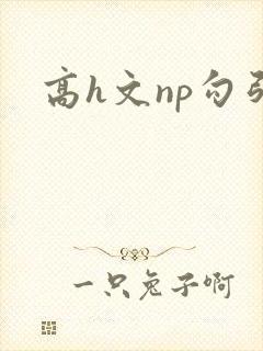 高h文np勾引