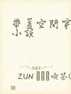 带着空间穿越的小说