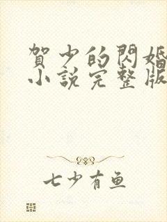 贺少的闪婚暖妻小说完整版