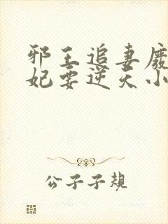 邪王追妻废材狂妃要逆天小说封面