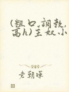 (粗口,调教,高h)主奴小说