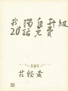我独自升级漫画20话免费