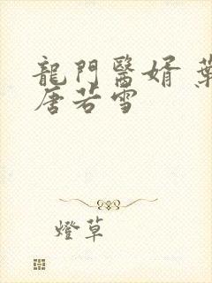 龙门医婿 叶凡唐若雪封面