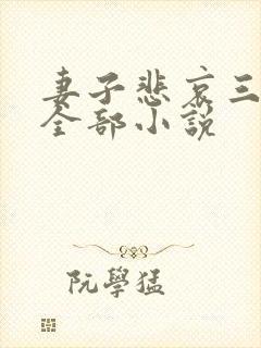 妻子悲哀三部曲全部小说