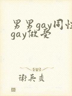 男男gay同性gay做受