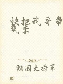 快把我哥带走有几季封面