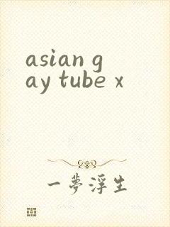 asian gay tube x封面