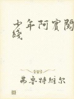 少年阿宾阅读在线