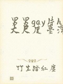 男男gay片h大尺度 台湾封面