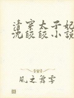 清穿太子妃康熙沈皎皎小说4