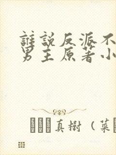 谁说反派不能当男主原著小说