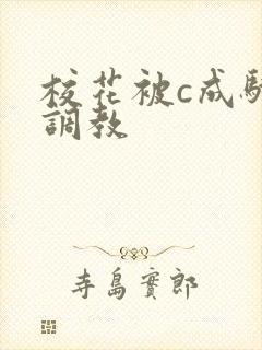 校花被c成骚货调教