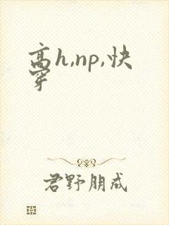 高h,np,快穿封面