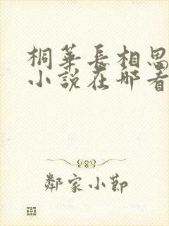 桐华长相思原著小说在哪看