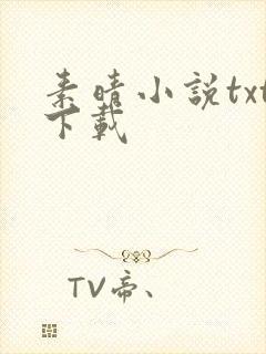素晴小说txt下载