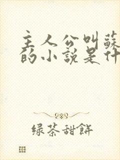 主人公叫苏软软的小说是什么名字封面