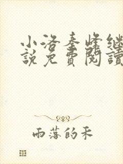 小洛秦峰继兄小说免费阅读