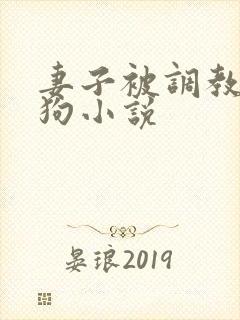 妻子被调教成母狗小说