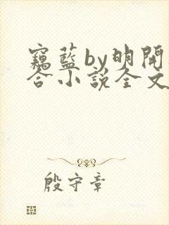 窃蓝by明开夜合小说全文免费阅读封面