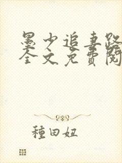 书籍封面