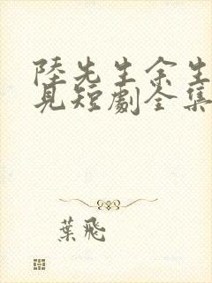 陆先生余生不再见短剧全集免费封面