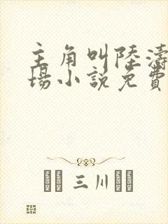 主角叫陆涛的官场小说免费阅读