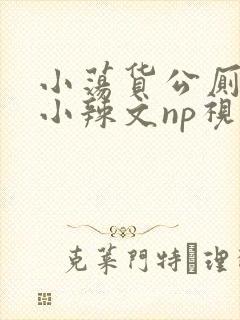 小荡货公厕h文小辣文np视频