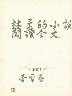 林柔的小说在线阅读全文