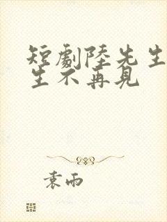 短剧陆先生,余生不再见