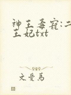 神王毒宠:二嫁王妃txt