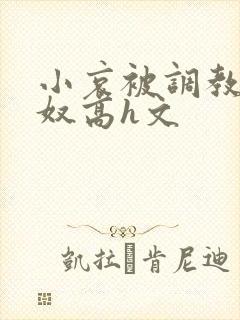 小哀被调教成肉奴高h文