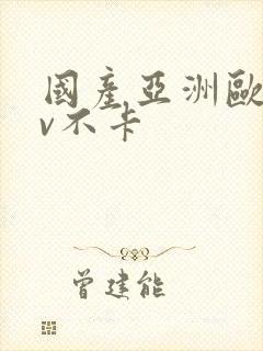 国产亚洲欧洲av不卡