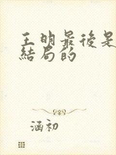 王明最后是什么结局的封面