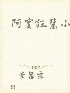 阿宾钰慧小说