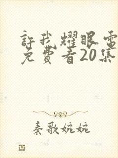 许我耀眼电视剧免费看20集