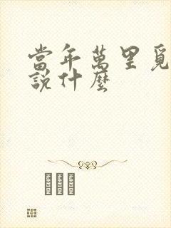 当年万里觅封侯说什么