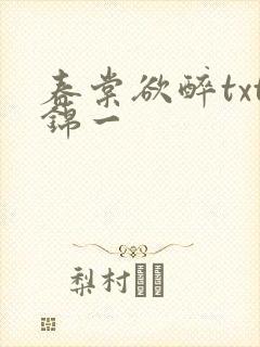 春棠欲醉txt锦一