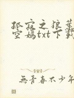 孤寂之狼叶凡司空嫣txt下载