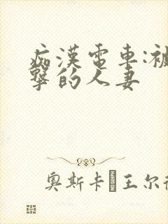 痴汉电车:被攻击的人妻
