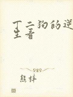 丁二狗的逆袭人生看