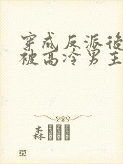 穿成反派后,我被高冷男主攻略了