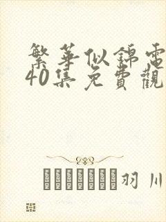 繁华似锦电视剧40集免费观看高清