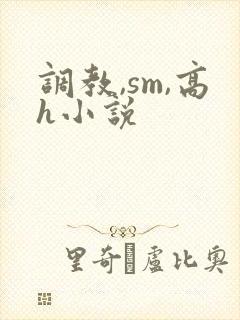 调教,sm,高h小说