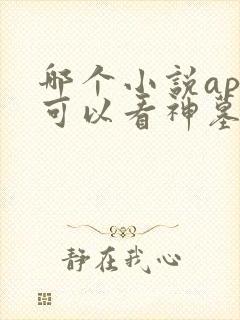 哪个小说app可以看神墓封面