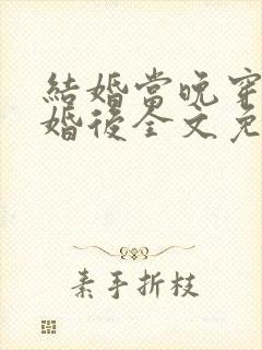 结婚当晚穿到离婚后全文免费阅读封面