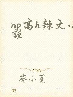 np高h辣文小说