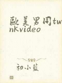 欧美男同twinkvideo