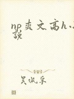 np爽文高h小说